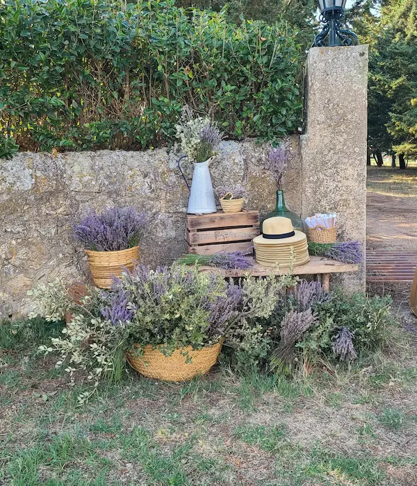 Decorar con lavanda fresca