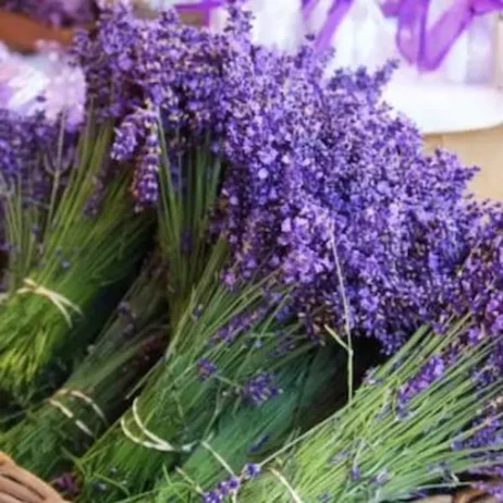 Ramo de flores frescas de lavanda