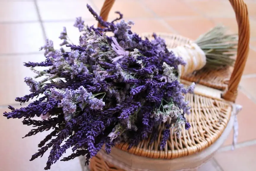 Ramo de lavanda novia