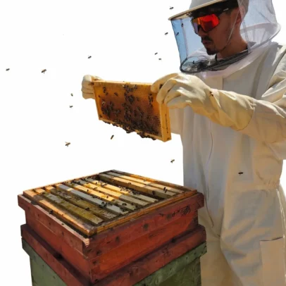 apicultor por un dia mariem