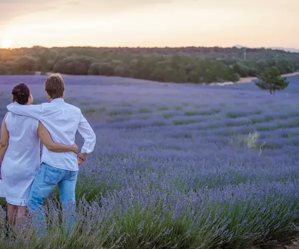 Sesión de Fotos de Preboda en los Campos de Lavanda