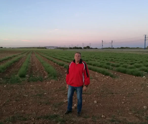 Mariano campos lavanda verdes Mariem