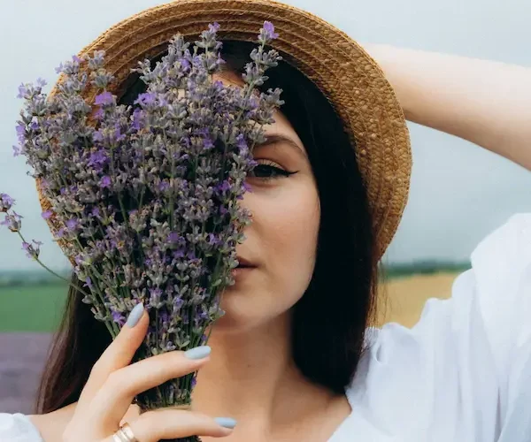 Fotos durante la floracion de la lavanda